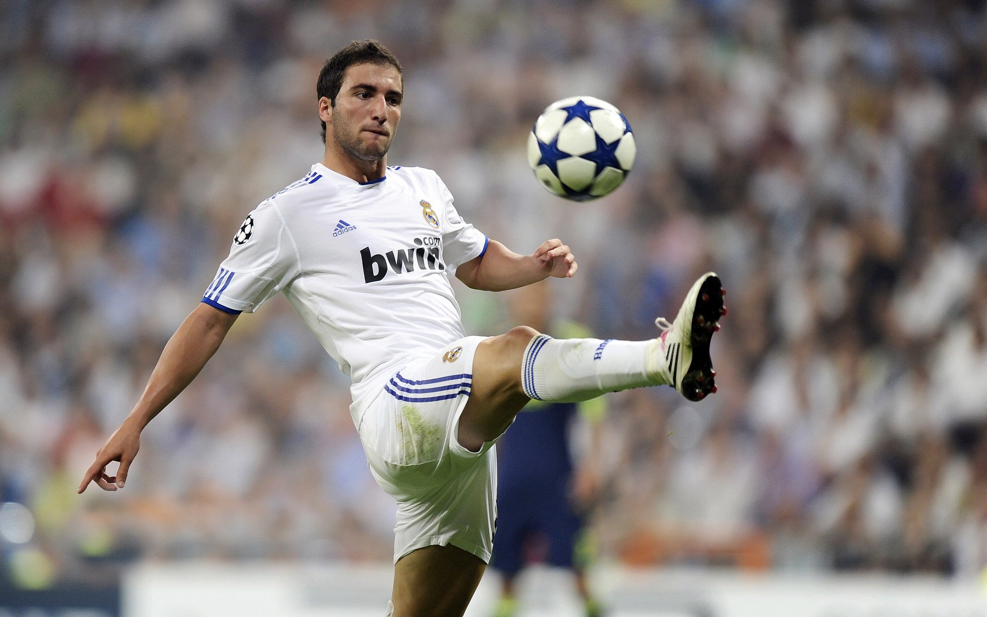 开云中国大陆-英超冠军争夺：悬念升级，精彩绝伦！，英超冠军叫什么